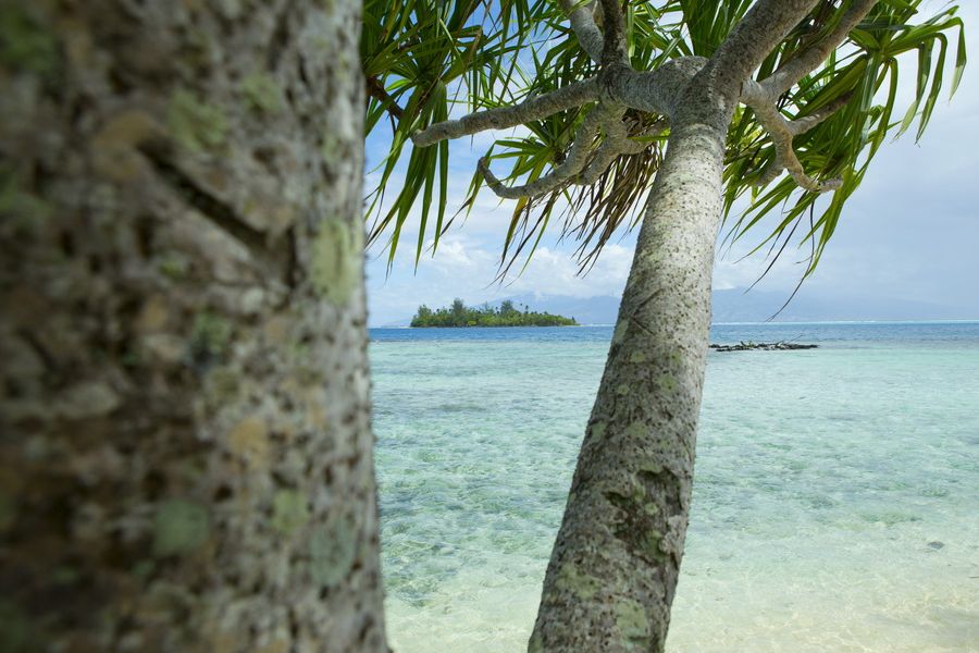 Вид на маленький островок - моту на острове Муреа motu on Moorea island