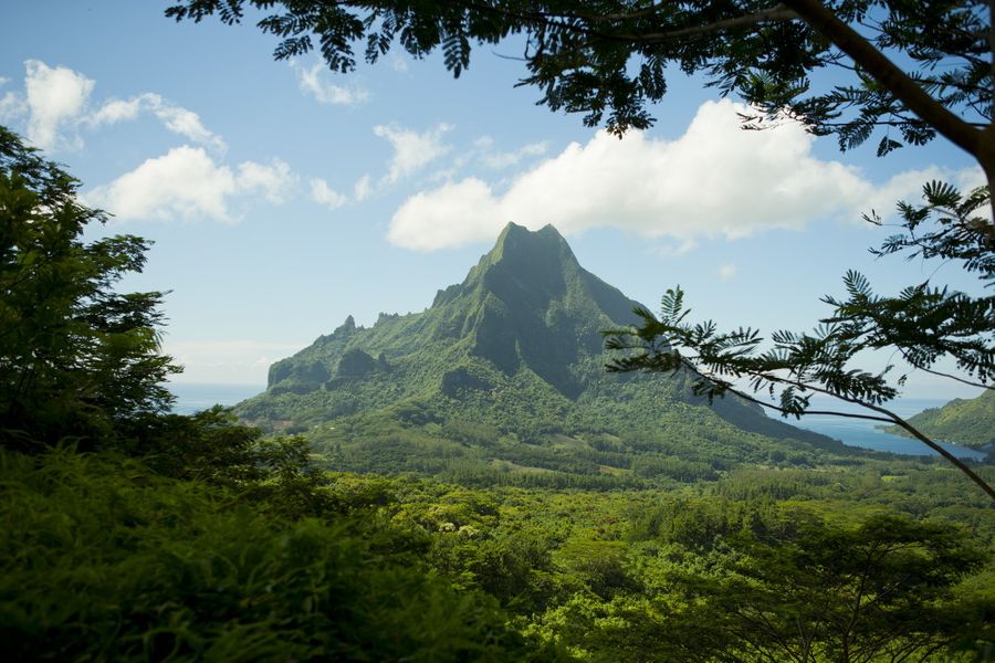 Экскурсия вокруг Муреи, гора Ротуй, вид с Бельведера Rotui mounteen, Moorea island